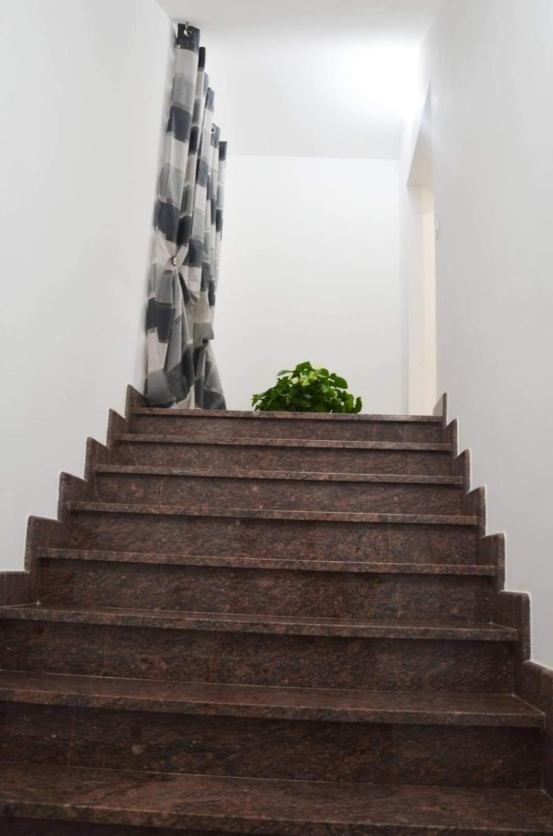 Bed and Breakfast La Tana Delle Lepri Morolo Екстер'єр фото